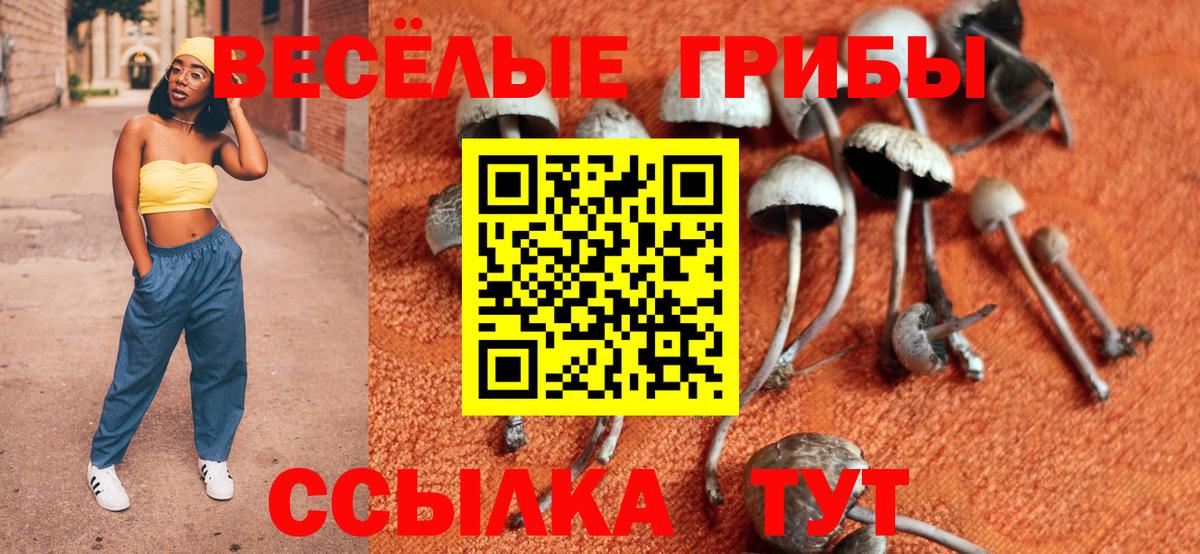 Галлюциногенные грибы Cubensis Набережные Челны