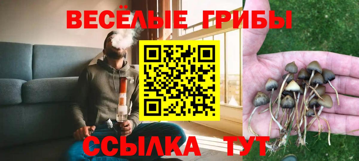 Галлюциногенные грибы Psilocybe  Вход с VPN  Псилоцибиновые грибы MAGIC MUSHROOMS  Набережные Челны 